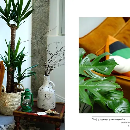 Appartamento Ul Domm